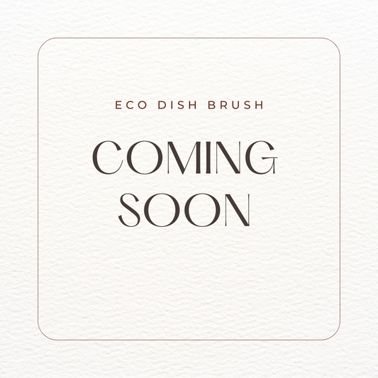 Eco Dish Brush